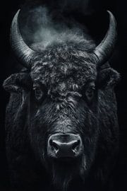 Bison. by Poster Art Shop
