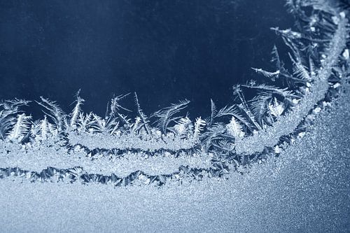 Ice flowers on the window pane