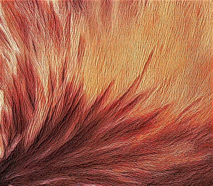 Golden feathers by fb-fotografie