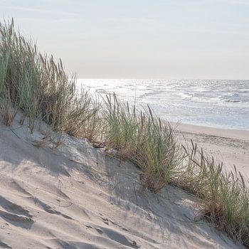 Ambiance du soir à la mer du Nord