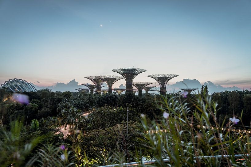 Singapore by Hello Pompoyo