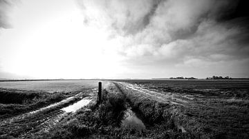 Paysage de polder 1 sur Robrecht Kruft