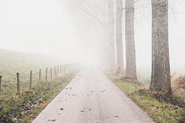 Nebel in Richtung Hof