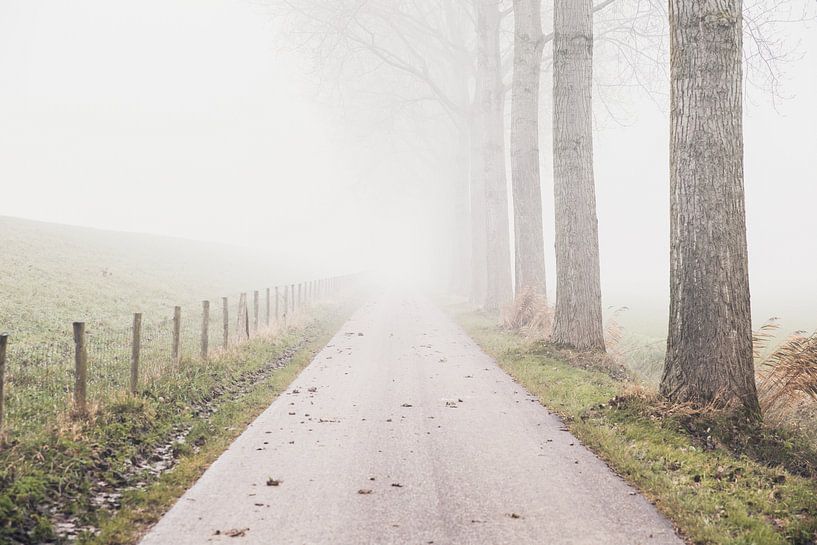 Fog in the direction of the farm by Petra Brouwer