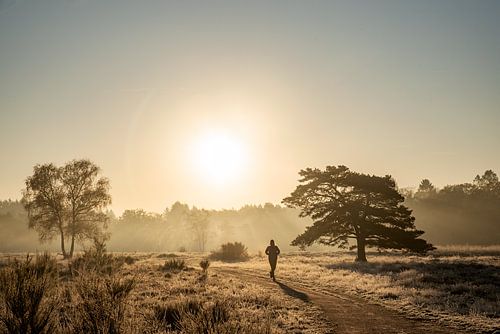 Courir sur la bruyère gelée à Huizen