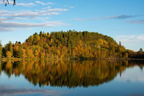 Bomen met herfstkleuren reflecteren  in het water