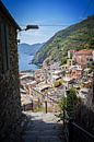 Kleurrijk Vernazza, Cinque Terre von Kramers Photo Miniaturansicht