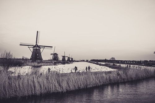 Die Mühlen in Kinderdijk