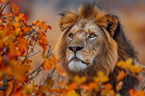 Leeuw in Herfstbladeren - Natuurs Koningschap