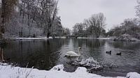 Sneeuwseizoen, ja het is winter. van fotograaf chaimaa thumbnail