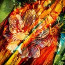 Abstracte Bloemendans: Kleuren en Patronen van Hans Kwaspen thumbnail