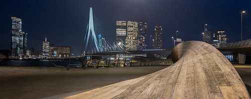 Rotterdam met de Erasmusbrug in de nacht
