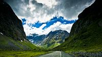 Road in the Fiordland - Nieuw Zeeland van Ricardo Bouman thumbnail