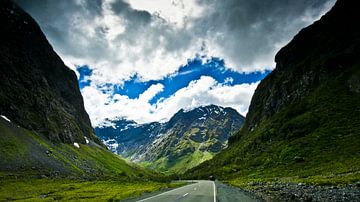 Road in the Fiordland - Neusseeland von Ricardo Bouman