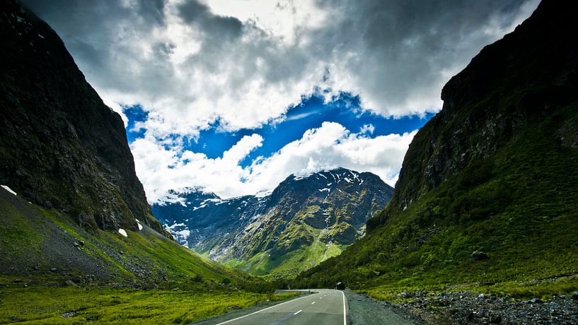 Road in the Fiordland - Nieuw Zeeland van Ricardo Bouman