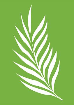 Minimalist Nature & Abstract Illustration Collection