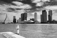 Kop van Zuid, Rotterdam