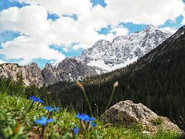 Spectacular Swiss Alpine landscape with glacier - powerful mountain scenery, gleaming ice and an impressive high mountain atmosphere. A powerful motif for true alpine enthusiasts.