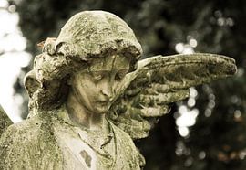 Angel sur Jaco Verheul