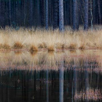 Stille Wasserlinie – Spiegelnde Landschaft von Anne-Marie Boere