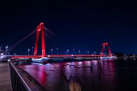 Rotterdam Willemsbrug bei Nacht von Marco Knies Miniaturansicht