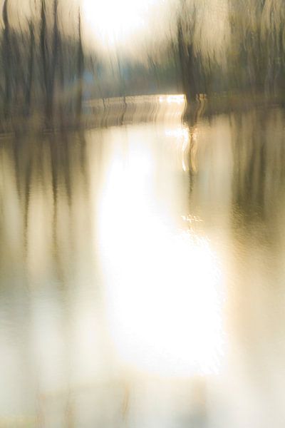 trees in the water_03 by Herman de Langen