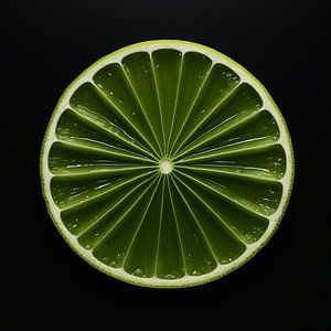 Das Rad von Lime von Karina Brouwer