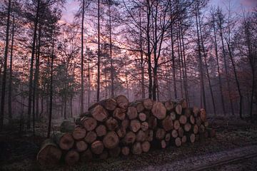 Sonnenaufgang Kootwijkerzand von Peter Haastrecht, van