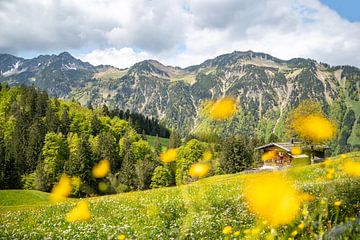 Wunderschöne Gerstruben am Trettachtal im Frühling mit schönen Blumen von Leo Schindzielorz