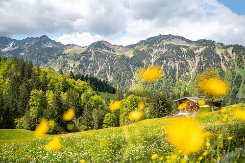 Mooie Gerstruben op het Trettachtal in de lente met prachtige bloemen