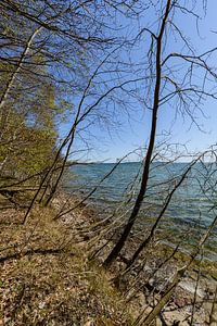 Am Ufer in der Goor, Lauterbach auf Rügen