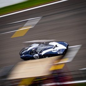 Cobra Daytona Coupé von Mattijs Diepraam