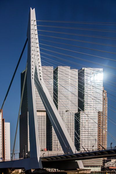 the rotterdam and the erasmus bridge by Eric van Nieuwland