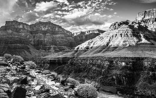 Grand Canyon Arizona United States.