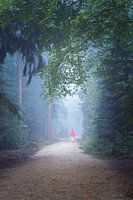 Forest Breda