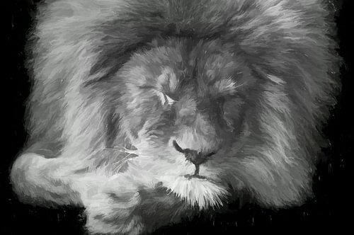 Sleeping lion - black and white