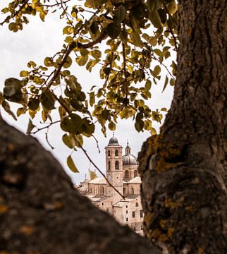 Blick durch Urbino von Marloes ten Brinke