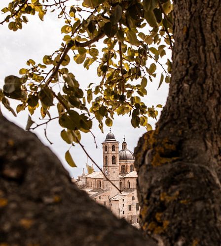 Doorkijkje in Urbino