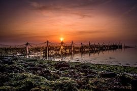 Waddenzee van Johan Habing