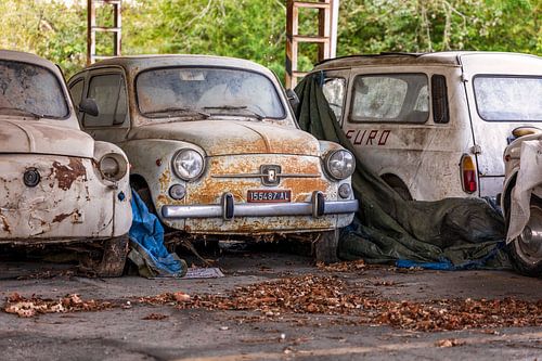 Irgendwo in Italien - die verlassenen FIATS von Gentleman of Decay