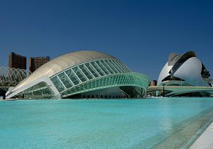 Valencia, Cité des arts et des sciences van Maurits van Hout