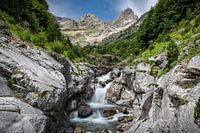 Pineta Valley Waterfall
