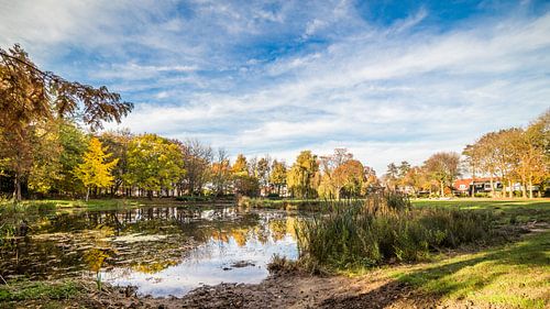 King's Park in Herbstfarben