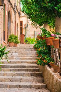Mooie straat in het mediterraanse dorp Valldemossa van Alex Winter