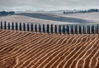 Toscany landscape