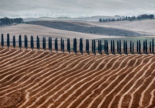 Toscane landschap