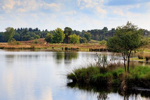 Vennen Overasseltse et Hatertse