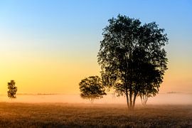 Sonnenaufgang an einem nebligen Morgen von Wendy van Kuler Fotografie
