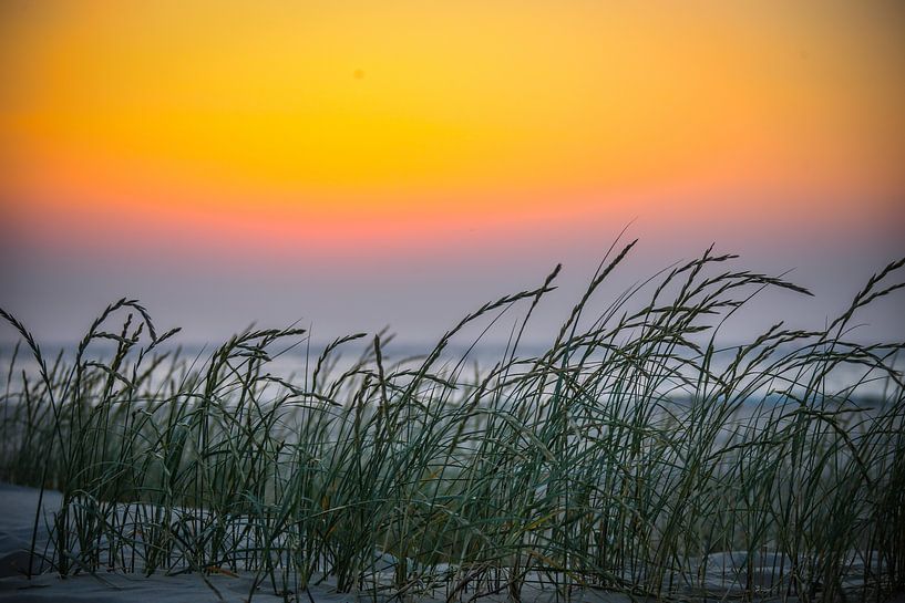 Helm by Marjet van Veelen