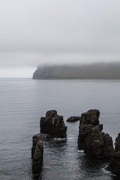 Felsen im Wasser auf Island von Jan Schuler